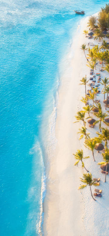 Tropical Island Resort Phone Wallpaper