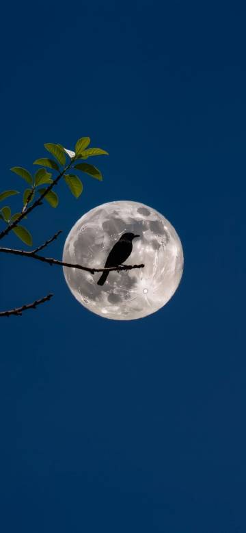 Bird on a Branch with a Bright Full Moon 4K Wallpaper