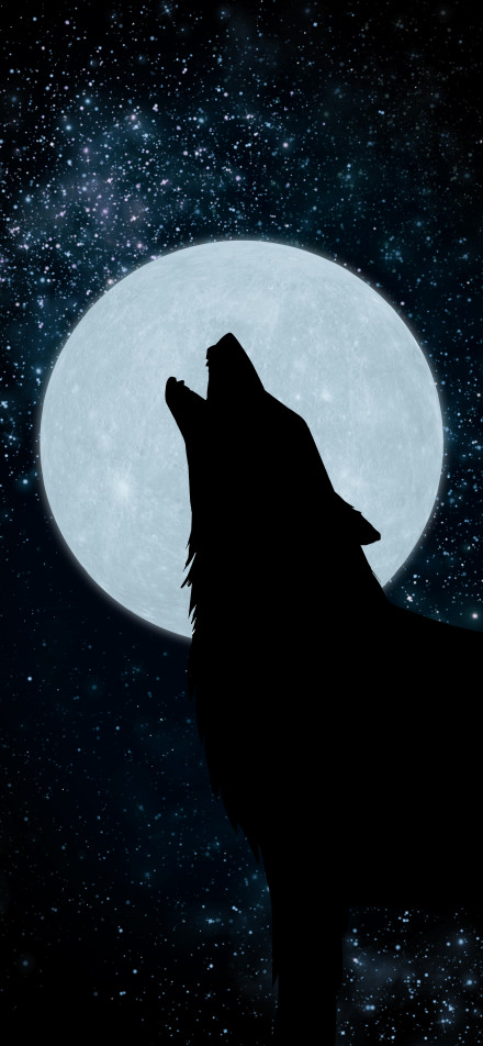 Wolf’s silhouette howling at the full moon under the starry sky