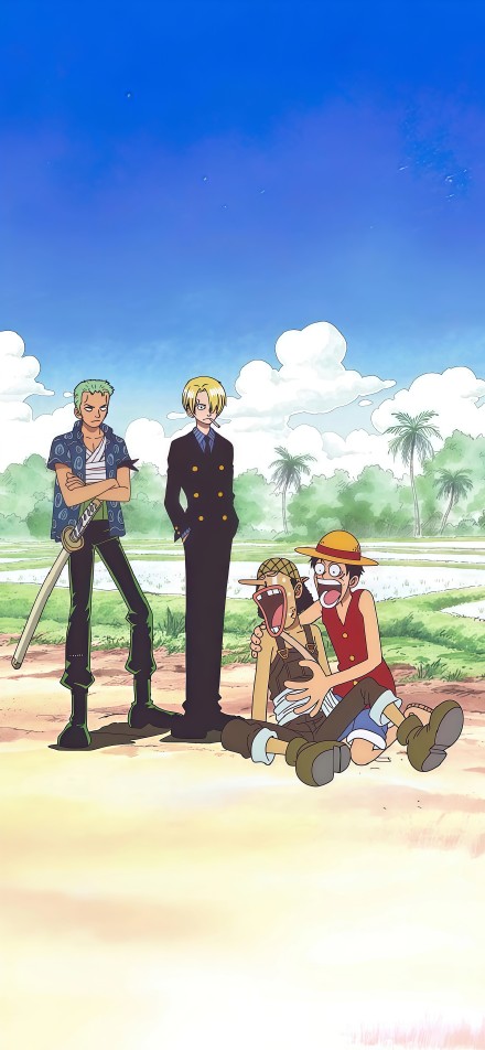Members of the Straw Hat Pirates in One Piece