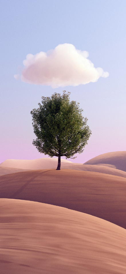 A lonely tree and a white cloud in the desert phone wallpaper