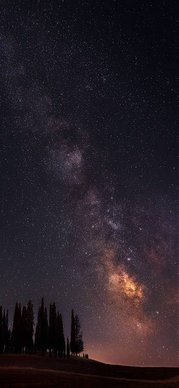 A grove under the starry sky at a quiet night phone wallpaper