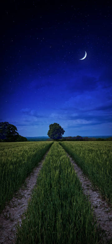 Tranquil moonlit field phone wallpaper