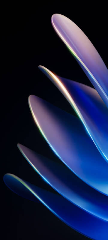 Blue Glass Petals on Black Background Wallpaper Blue Glass Petals on Black Background Wallpaper