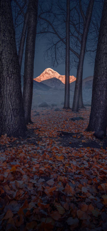Snow-capped mountains sparkle in the sunset phone wallpaper