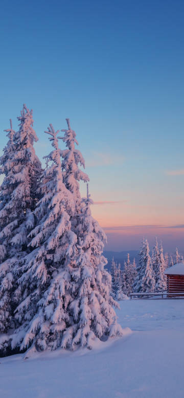 Winter Sunset Forest Cabin Wallpaper Winter Sunset Forest Cabin Wallpaper