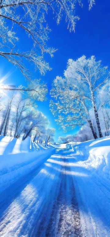 Pure beauty of a snow covered road phone wallpaper