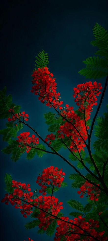 Landscape with blooming phoenix flowers against a dark background