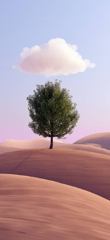 A lonely tree and a white cloud in the desert phone wallpaper