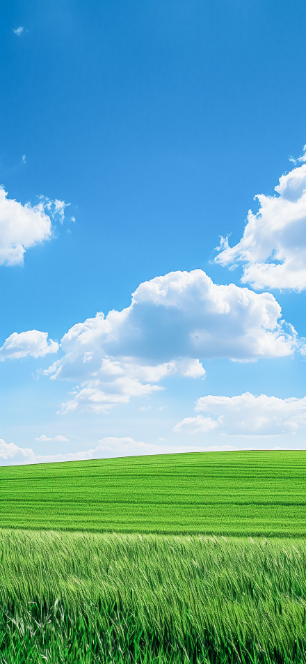 Vibrant Green Field Under Clear Blue Sky 4K Wallpaper