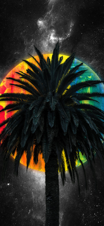 Palm tree beside the dreamy planet phone wallpaper