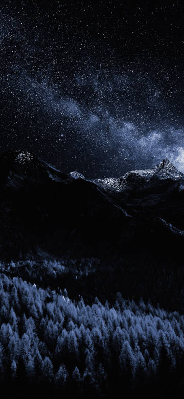 Magnificent forest and snow-capped mountains under the starry sky