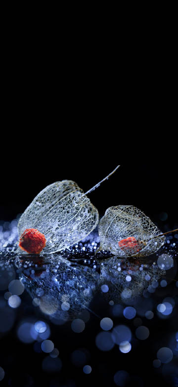 Red fruits with net pattern on black background