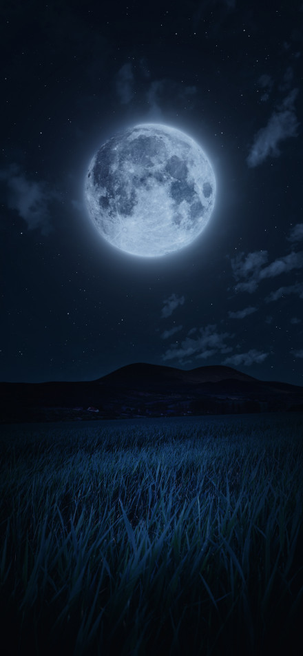 Moonlit night starry sky landscape wallpaper: full moon, starry sky and wild grass