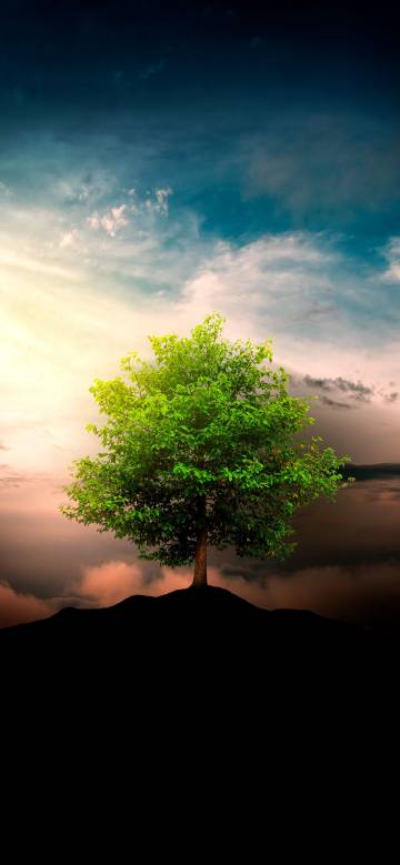 Lonely Tree Under Dreamy Sunset Sky 4K Phone Wallpaper Lonely Tree Under Dreamy Sunset Sky 4K Phone Wallpaper