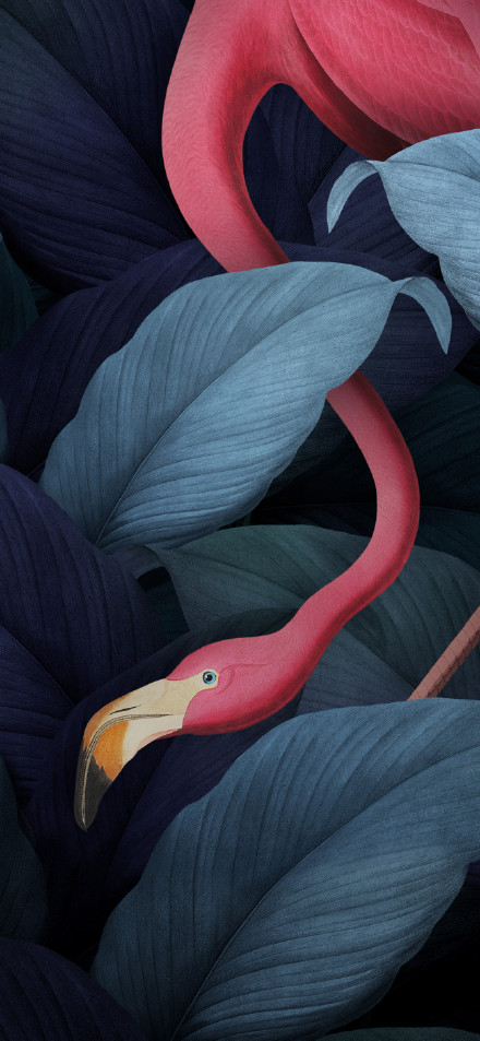 Pink flamingo in dark blue tropical leaves 4K illustration wallpaper