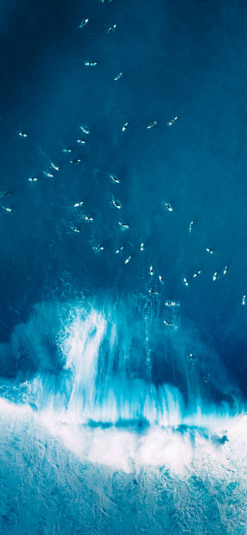 Overlooking surfers on the ocean phone wallpaper