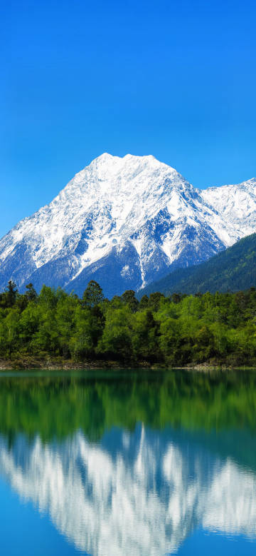 Stunning alpine landscape wallpaper: Lake with snow-capped mountains and dense forests
