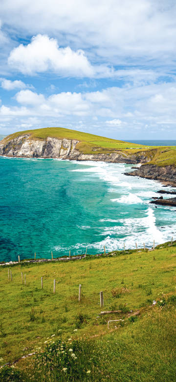 Grassland and ocean scenery under clear sky phone wallpaper