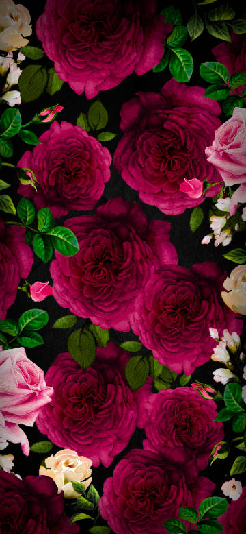rose,flower,romantic
