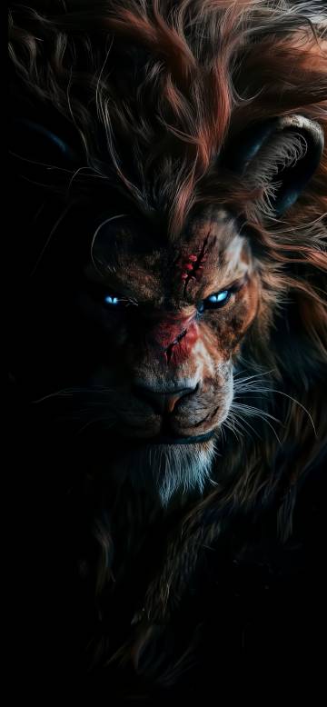 An Angry Scarred Lion in the Dark Wallpaper 4K An Angry Scarred Lion in the Dark Wallpaper 4K