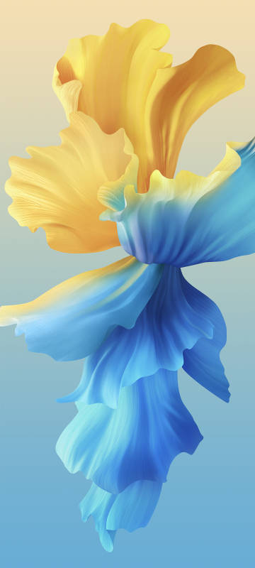 Abstract Yellow and Blue Petal Wallpaper Abstract Yellow and Blue Petal Wallpaper
