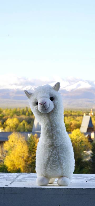 Cute Alpaca Depth Effect 4K Wallpaper