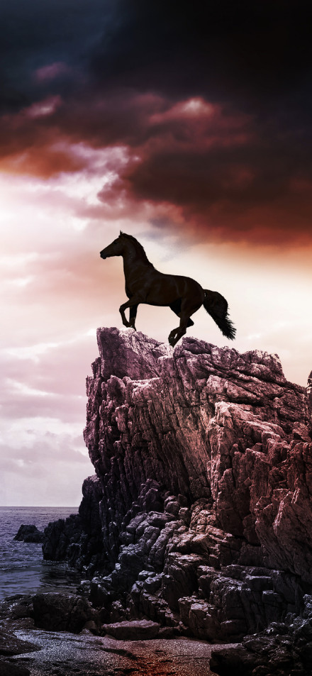 Landscape with horse standing on top of rock phone wallpaper