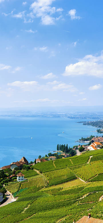 Lavaux Vineyard by Lake Geneva 4K Phone Wallpaper Lavaux Vineyard by Lake Geneva 4K Phone Wallpaper