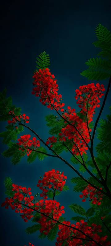 Landscape with blooming phoenix flowers against a dark background