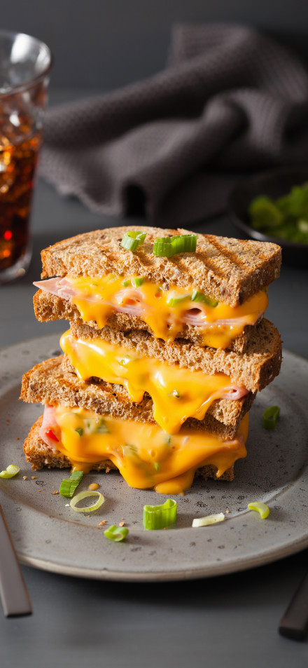 Tempting Cheese and Ham Sandwich