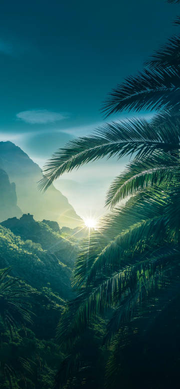 Tropical Sunrise Over Jungle Mountains 4K Phone Wallpaper