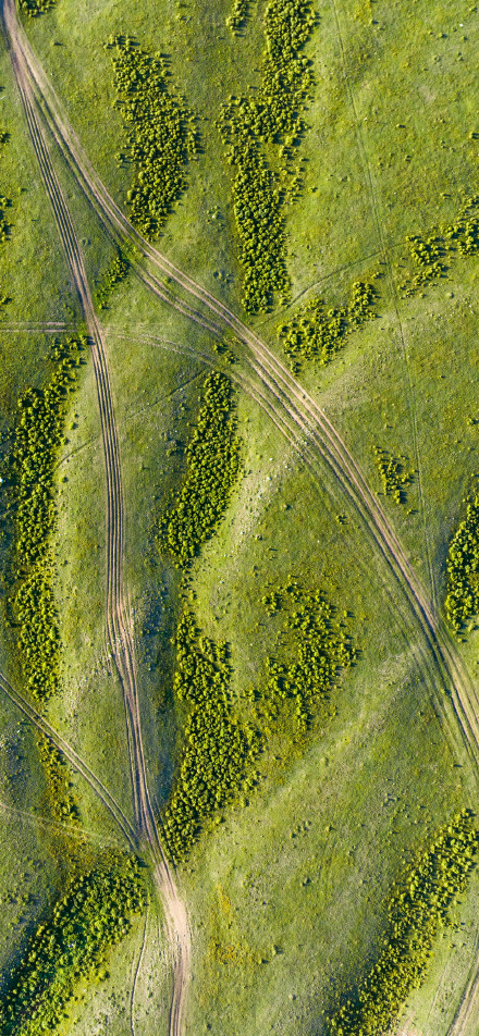 Overlooking the ruts on the green plain phone wallpaper