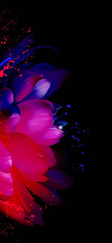 Latest Wallpaper 1