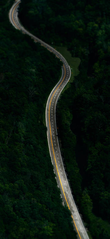 Road cutting through the green forest phone wallpaper