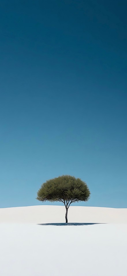 A Single Tree in a Vast White Desert 4K Wallpaper