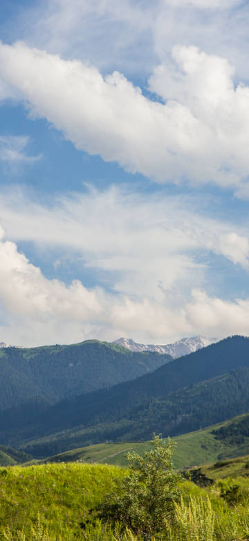 Nature wallpapers: grasslands, forests and blue sky