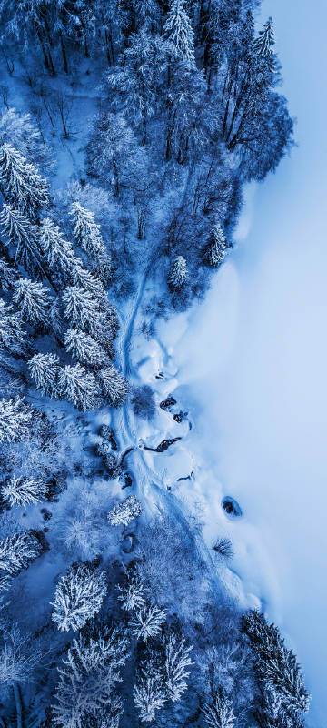 Snow scene phone wallpaper, snow, forest, path, beautiful Snow scene phone wallpaper, snow, forest, path, beautiful