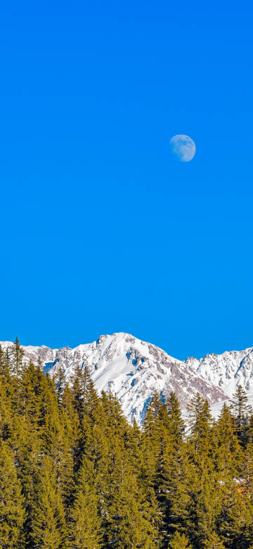 Snowy mountains and moon above the forest phone wallpaper