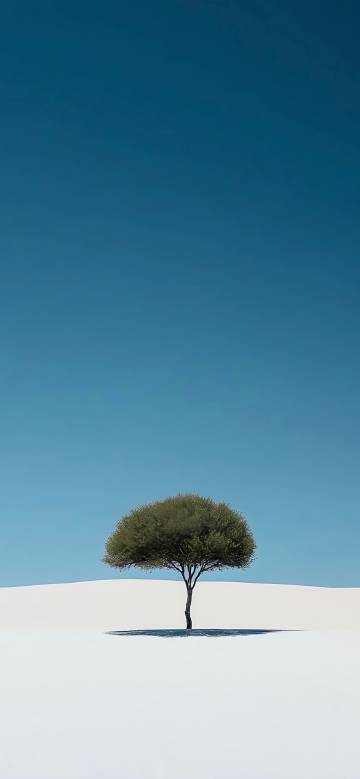 A Single Tree in a Vast White Desert 4K Wallpaper A Single Tree in a Vast White Desert 4K Wallpaper