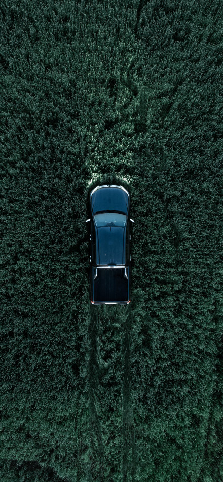 A black pickup truck is driving in a vast green field