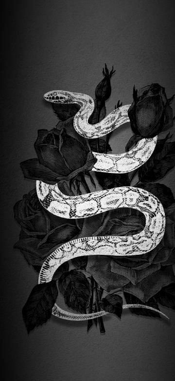 White Snake on Black Rose Illustration Art 4K Wallpaper