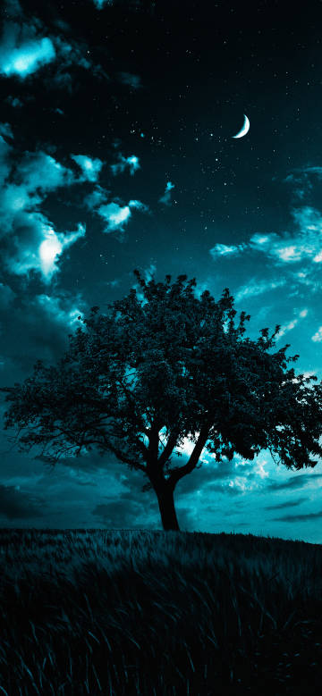 Latest Wallpaper 1