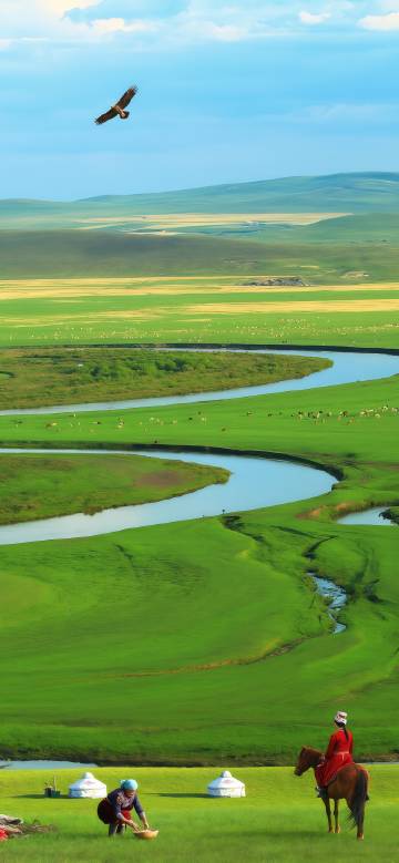 Eagle soars over the grasslands of Inner Mongolia phone wallpaper