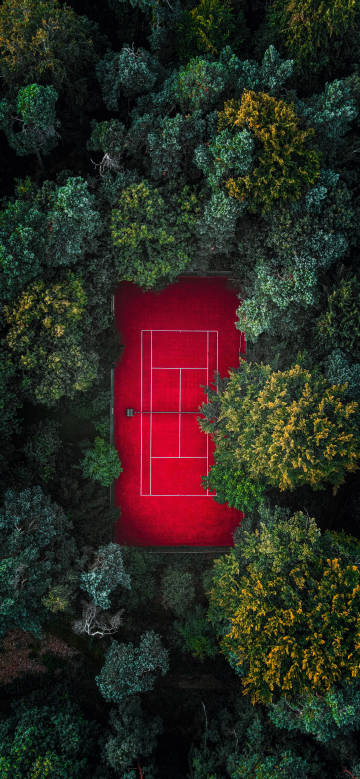 Overlooking the red tennis court in the forest phone wallpaper