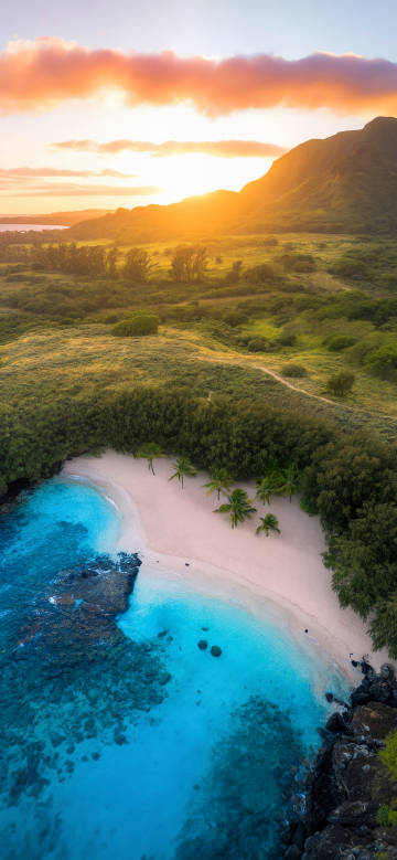 Tropical beach sunset in a stunning view wallpaper: sandy beach, palm trees, mountains
