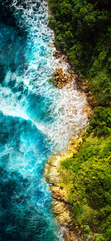 Stunning coastal scenery: turquoise waves and lush greenery