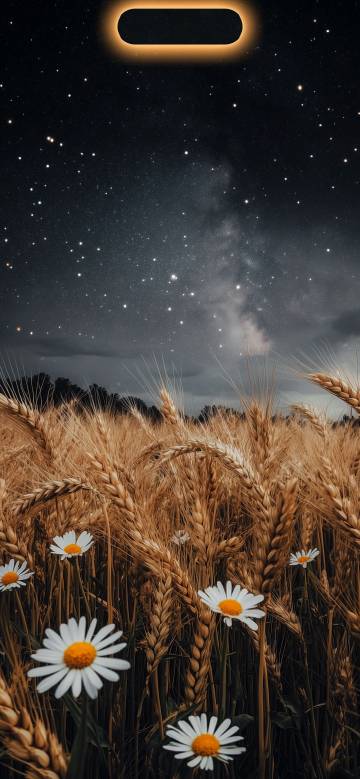 Vibrant Daisies and Wheat Under Starry Night