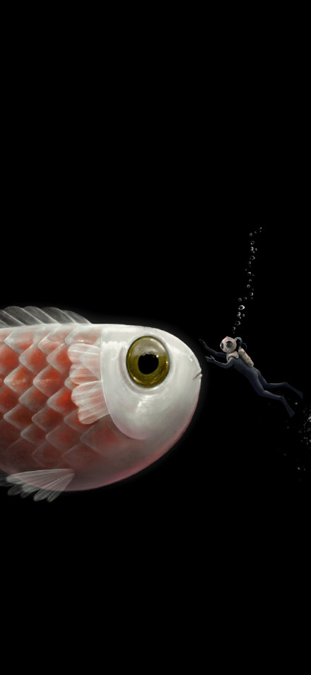 Big Fish Encountering a Small Diver in the Dark Wallpaper