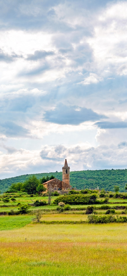 Ancient church in the green fields phone wallpaper